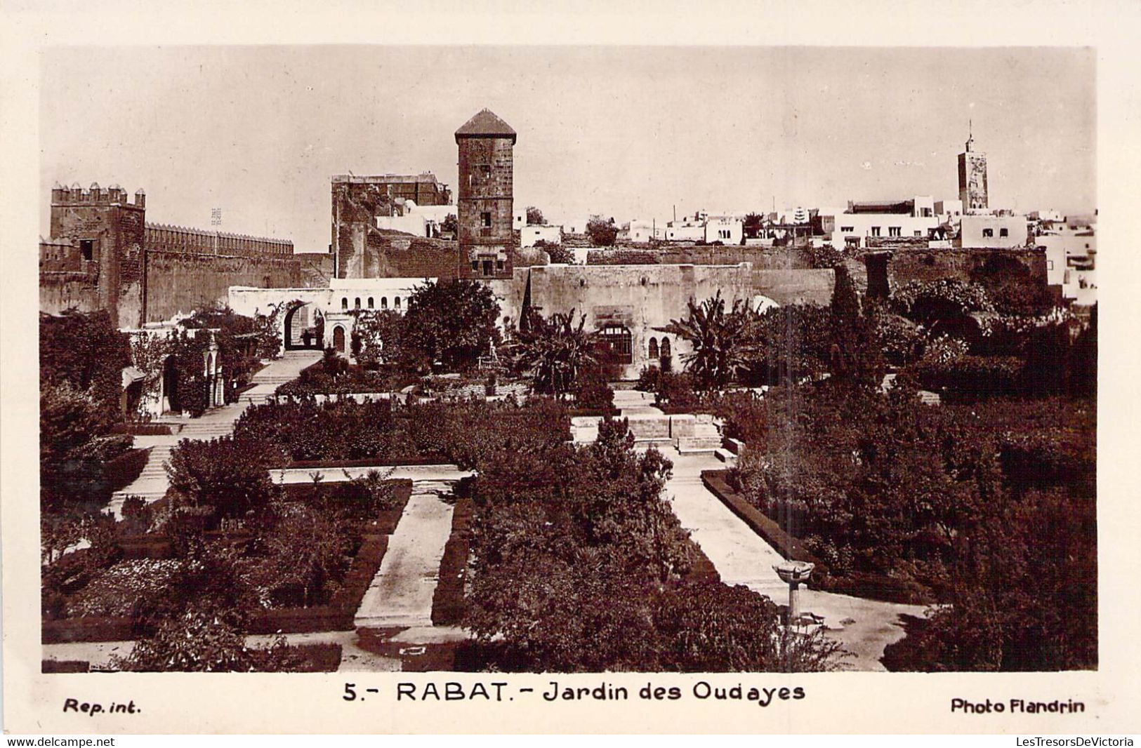 CPA Rabat - Jardin Des Oudayes - Rabat