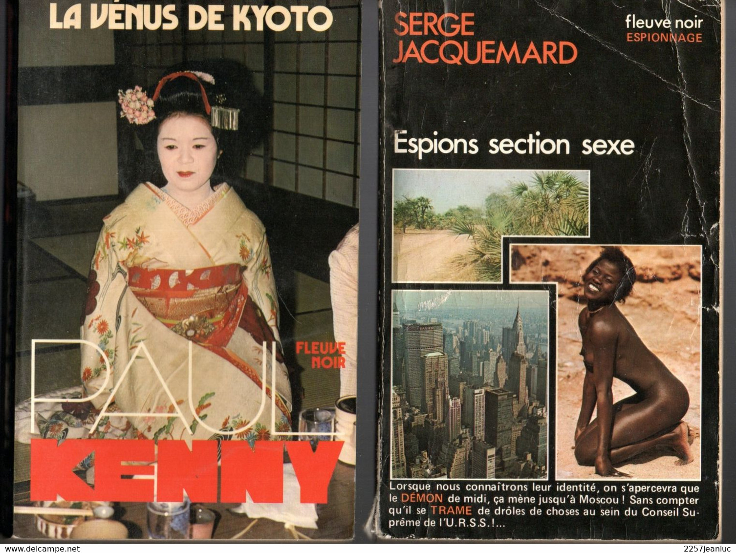 Roman F.N Espionnage * Espion Section Sexe & La Vénus De Kyoto - Fleuve Noir