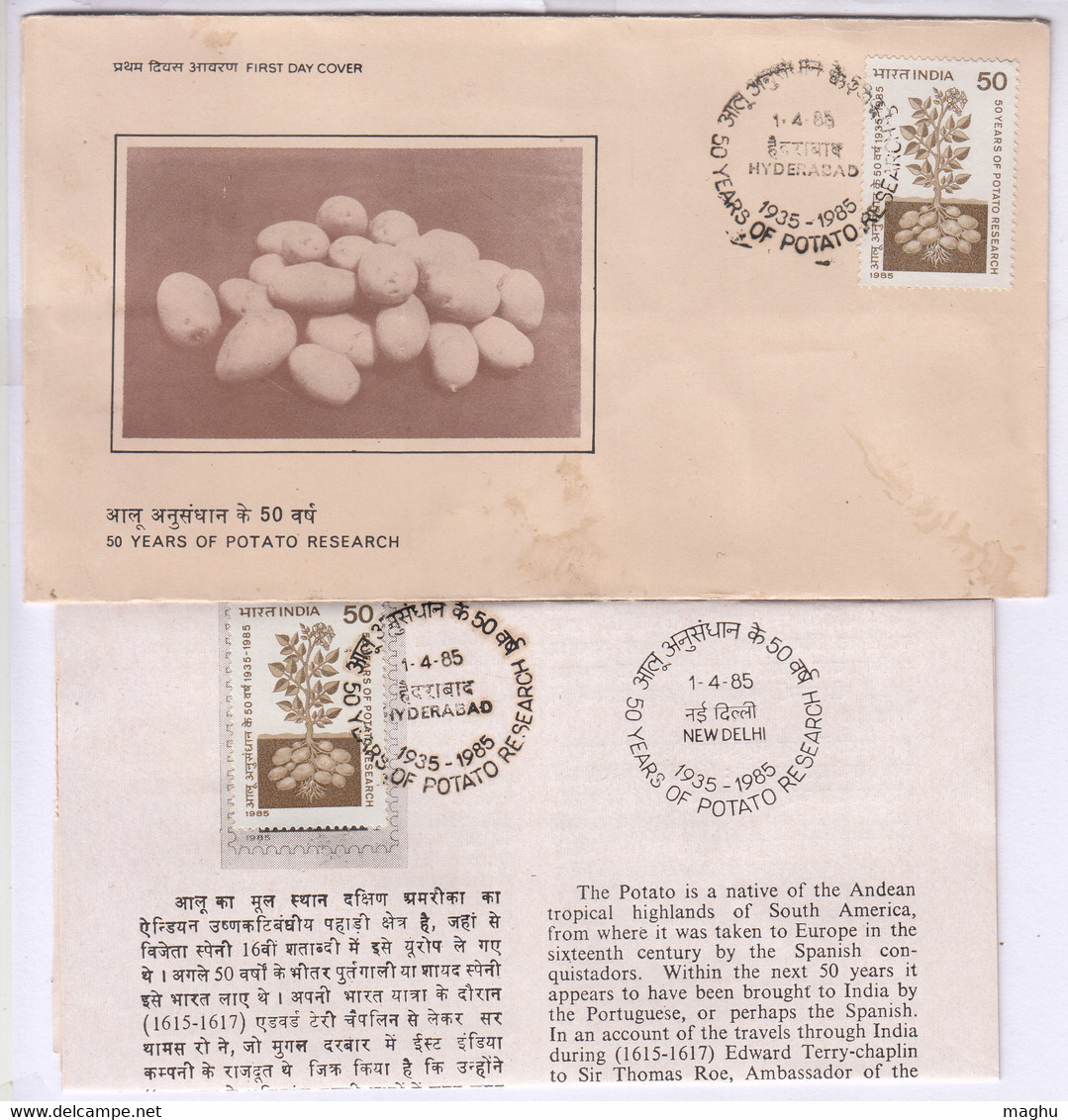 Stamped Info., + FDC Potato Research India 1985, Plant, For Food, Minerals / Vitamins, For Health, Science, Agriculture - Légumes