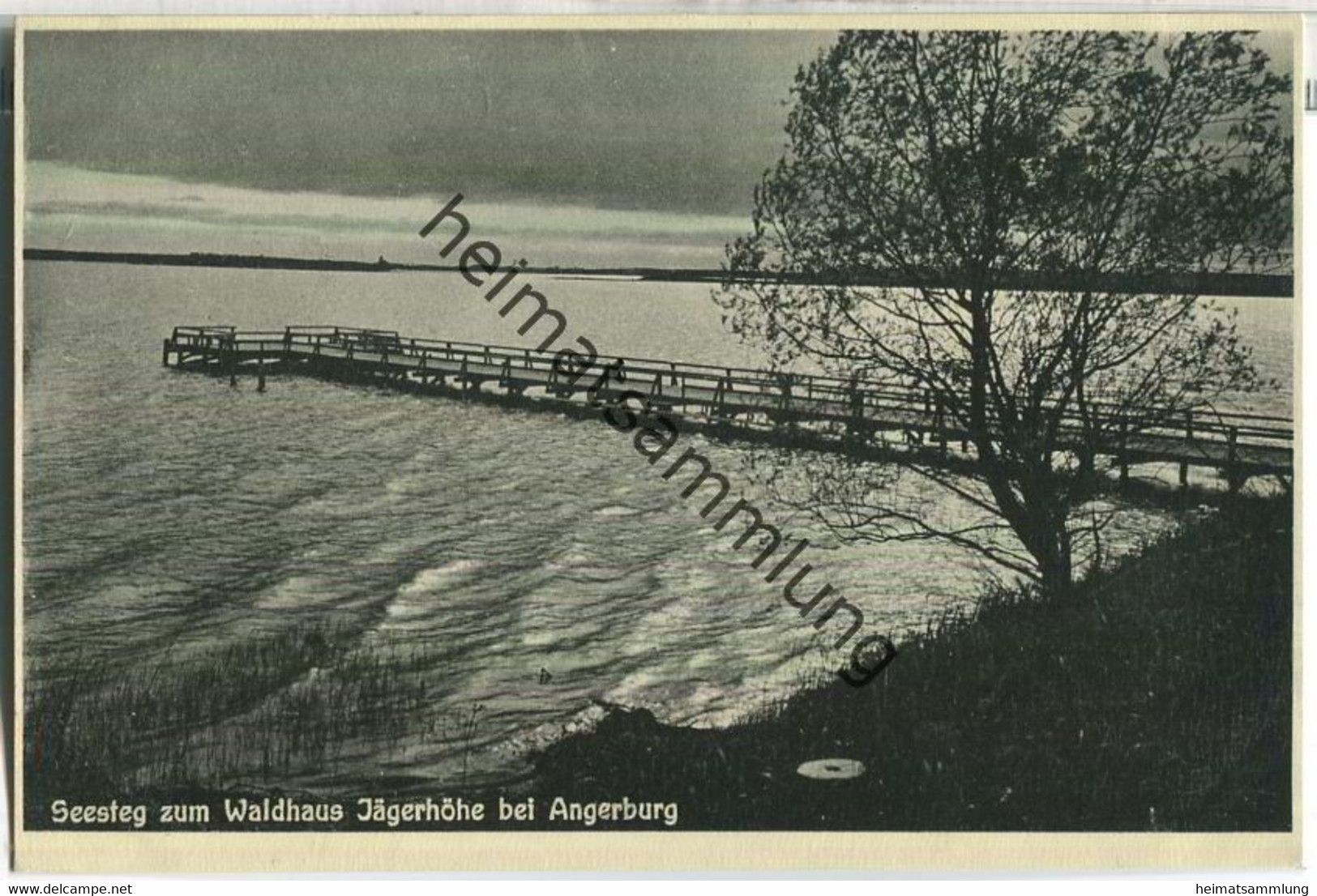 Wegorzewo - Angerburg - Seesteg Zum Waldhaus Jägerhöhe - Foto-AK 30er Jahre - Verlag Paul Hoffmann Gerdauen - Ostpreussen