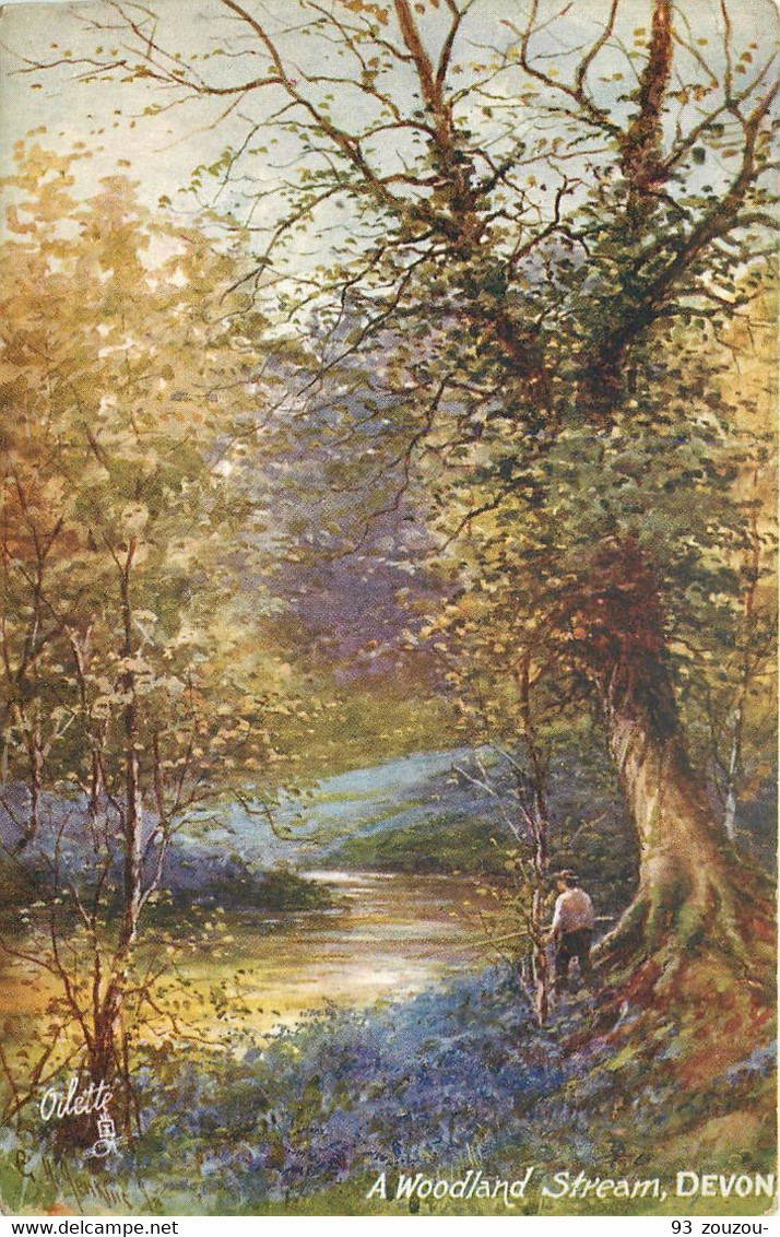 DEVON. A Woodland Stream - Clovelly