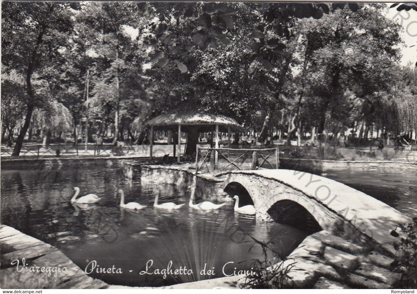 CARTOLINA  VIAREGGIO,TOSCANA,PINETA-LAGHETTO DEI CIGNI,MEMORIA,STORIA,CULTURA,RELIGIONE,BELLA ITALIA,VIAGGIATA 1966 - Viareggio