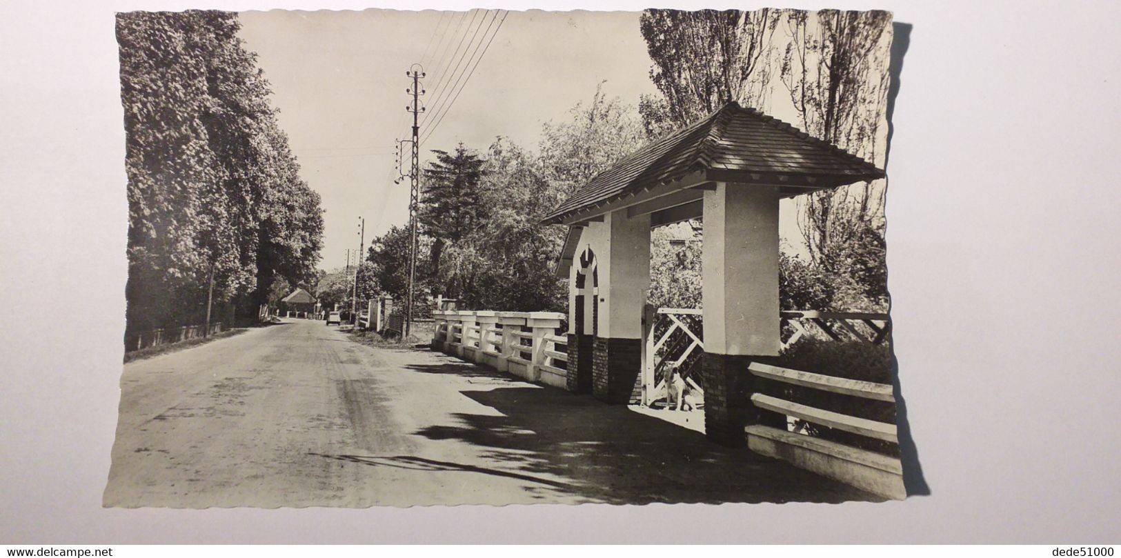 CPA  - Commune De AUDRUICQ (62) - L'avenue Des Alliés - Audruicq