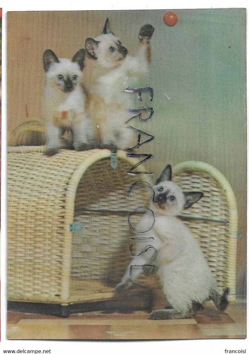 CPSM 3 D. Chats Siamois/ Siamese Cats - Cartes Stéréoscopiques