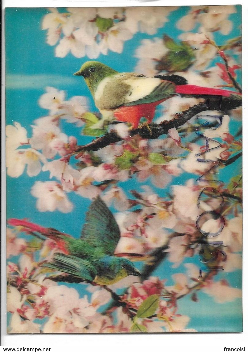 CPSM 3 D. Oiseau Sur Cerisier / Birds On Cherrytree - Cartes Stéréoscopiques