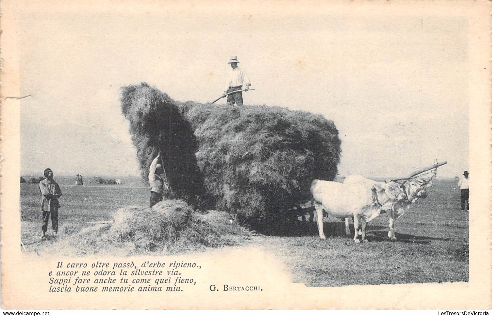 CPA G Bertacchi - Il Carro Oltre Passo D'erbe Ripieno - Attelage De Boeufs - Ramassage Du Foin - Cultivation