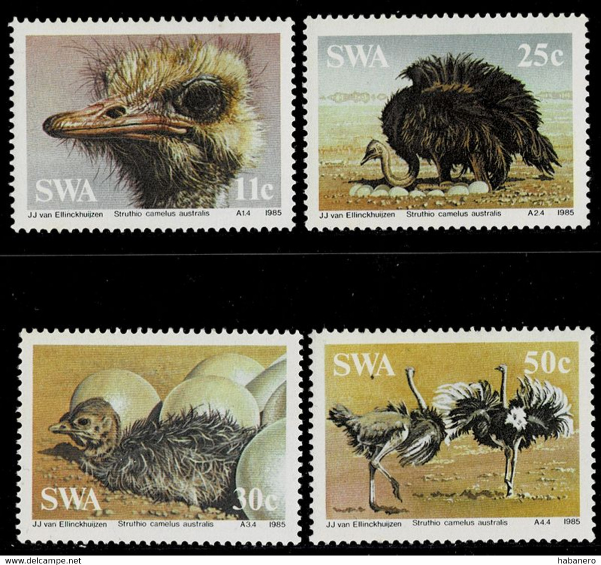 SOUTHWEST AFRICA SWA (NAMIBIA) 1985 Mi 566-569 OSTRICH BIRDS MINT STAMPS ** - Struisvogels