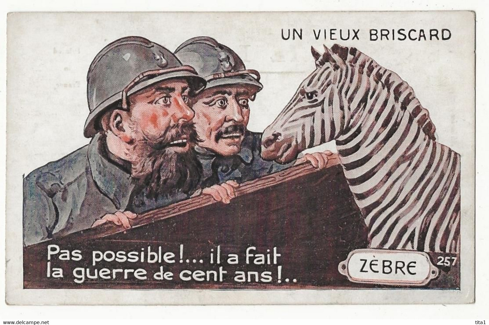 116 - Un Vieux Briscard - Zebras