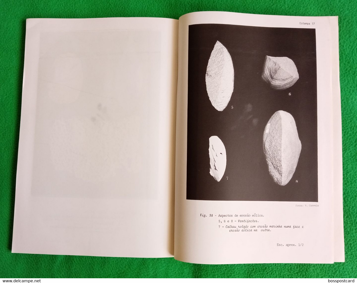 Angola - Nota Prévia sobre a Geologia da Região do Morro Vermelho (Baía dos Tigres), 1970 - Minas - Mines - Portugal