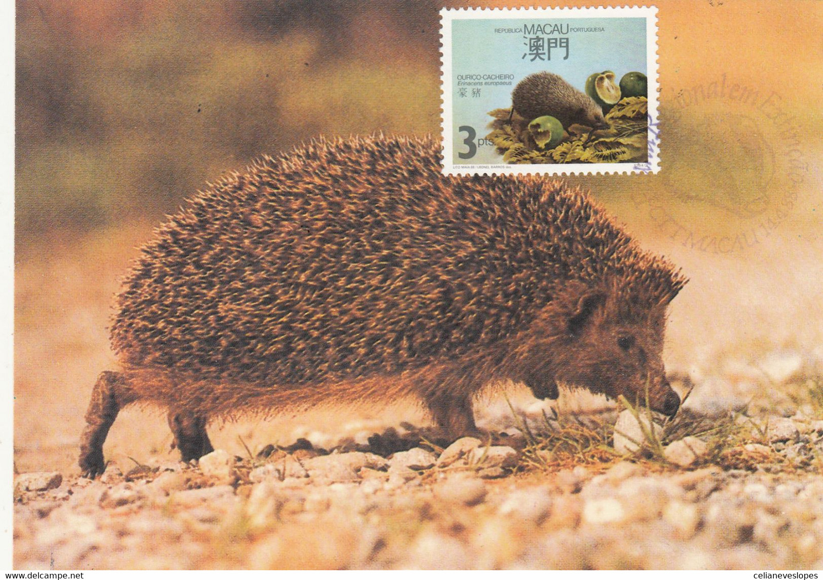 Macau, Macao, Maximum Cards, (54), Fauna Regional Em Extinção 1988 - Maximum Cards