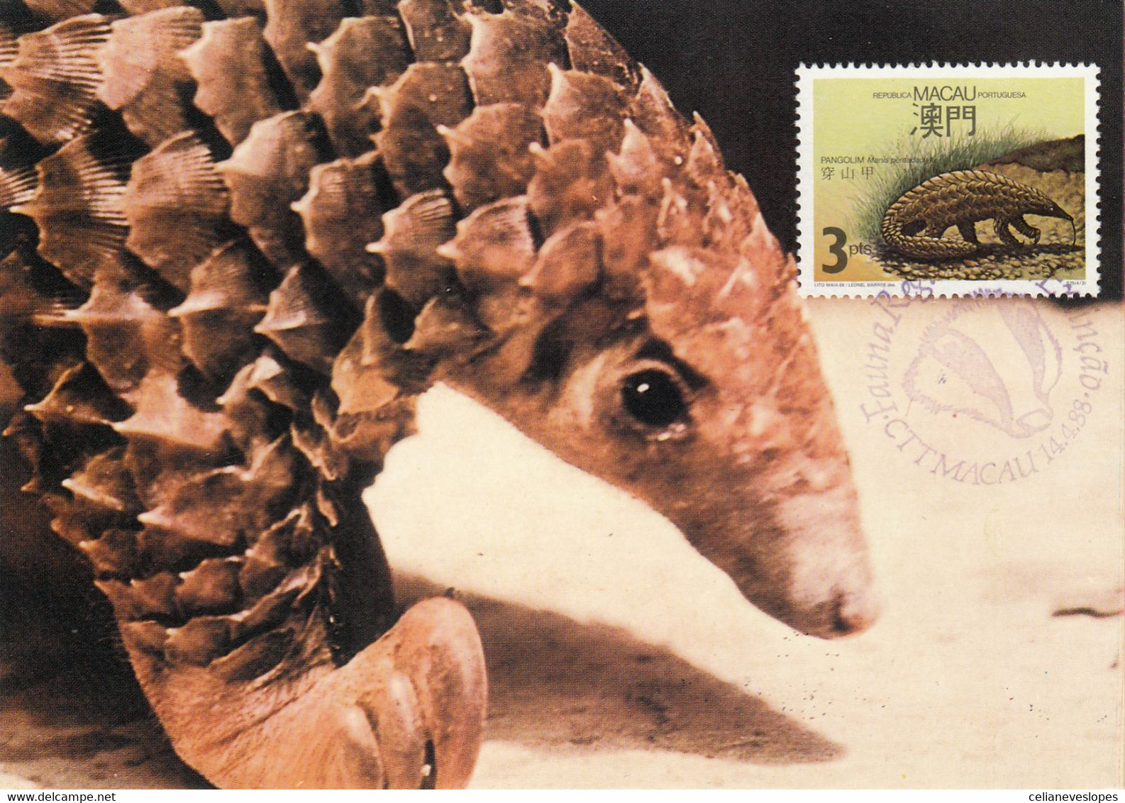 Macau, Macao, Maximum Cards, (55), Fauna Regional Em Extinção 1988 - Maximumkarten