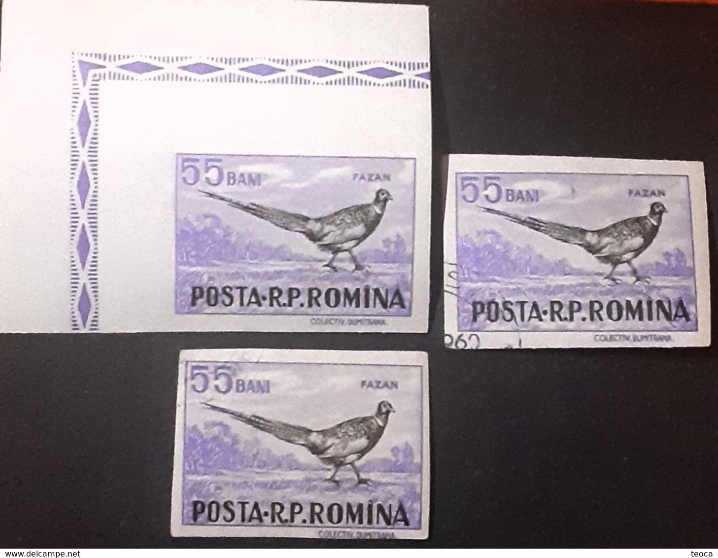 Errors Romania 1956 # Mi 1619 Printed With Writing Romanian Post And Pheasant Bird Moved - Varietà & Curiosità