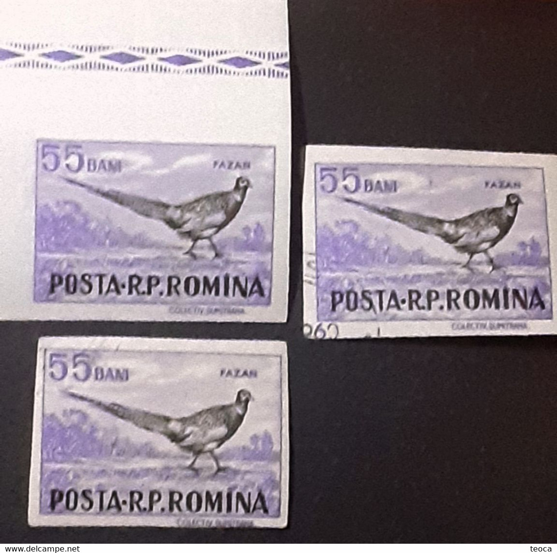 Errors Romania 1956 # Mi 1619 Printed With Writing Romanian Post And Pheasant Bird Moved - Errors, Freaks & Oddities (EFO)