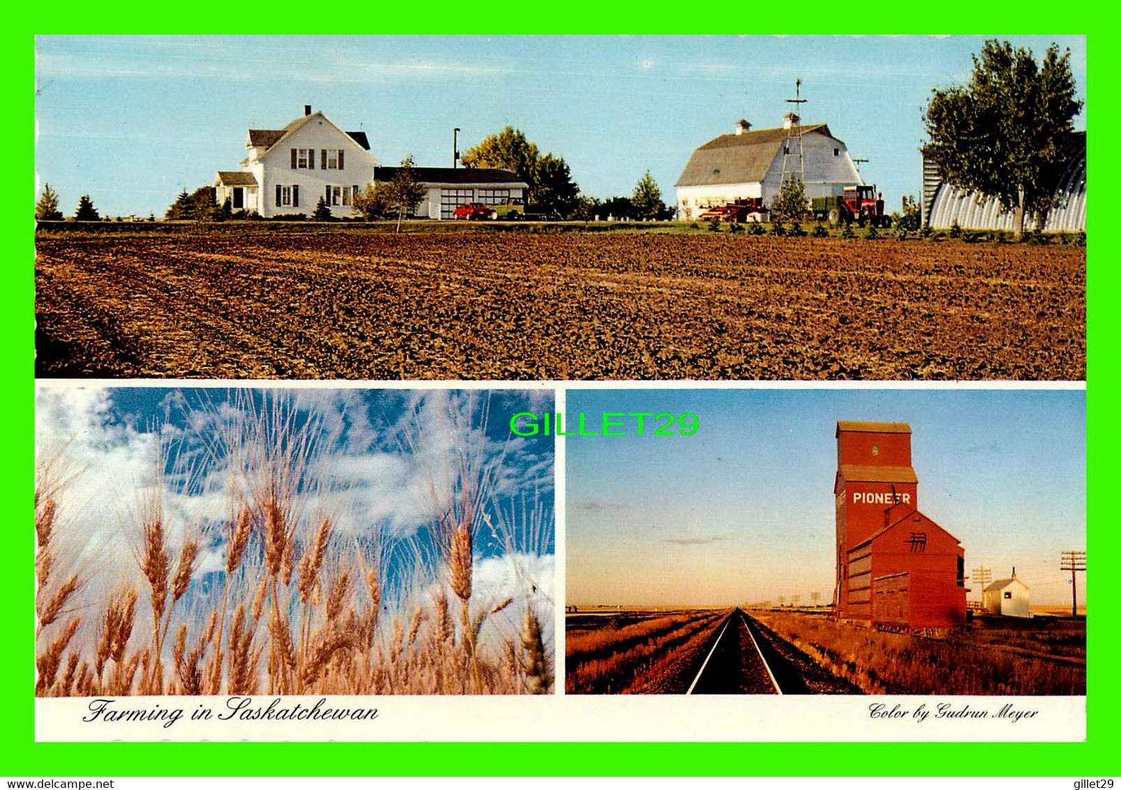 RÉGINA, SASKATCHEWAN - TYPICAL GRAIN FARM - 3 MULTIVUES - DEXTER COLOR -  COLOR PRODUCTIONS LTD - - Regina