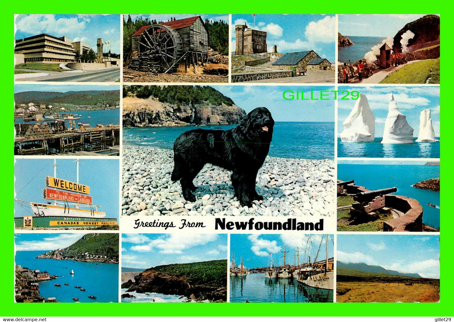 NEW-FOUNDLAND - GREETINGS FROM - 13 MUTIVUES -  TRAVEL IN 1975 - TOOTON'S LTD - - Autres & Non Classés