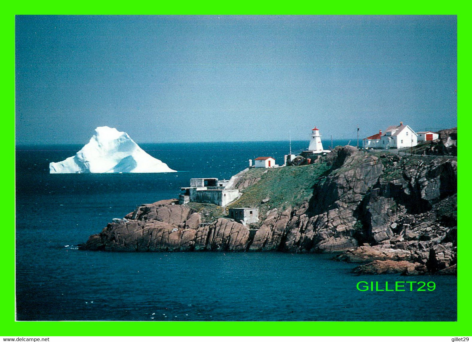 ST JOHN'S, NEWFOUNDLAND - ICEBERG OFF FORT AMHERST AT ENTRANCE OF THE HARBOUR - GIFFORD'S WHOLESALE - - St. John's