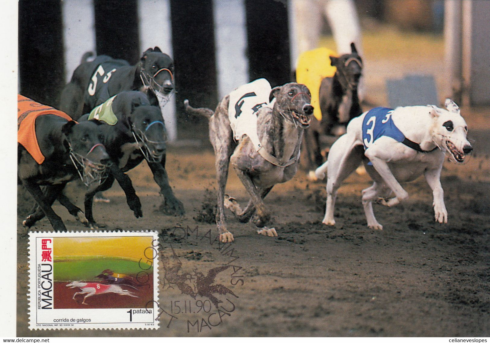 Macau, Macao, Maximum Cards, (79), Jogos Com Animais 1990 - Cartoline Maximum