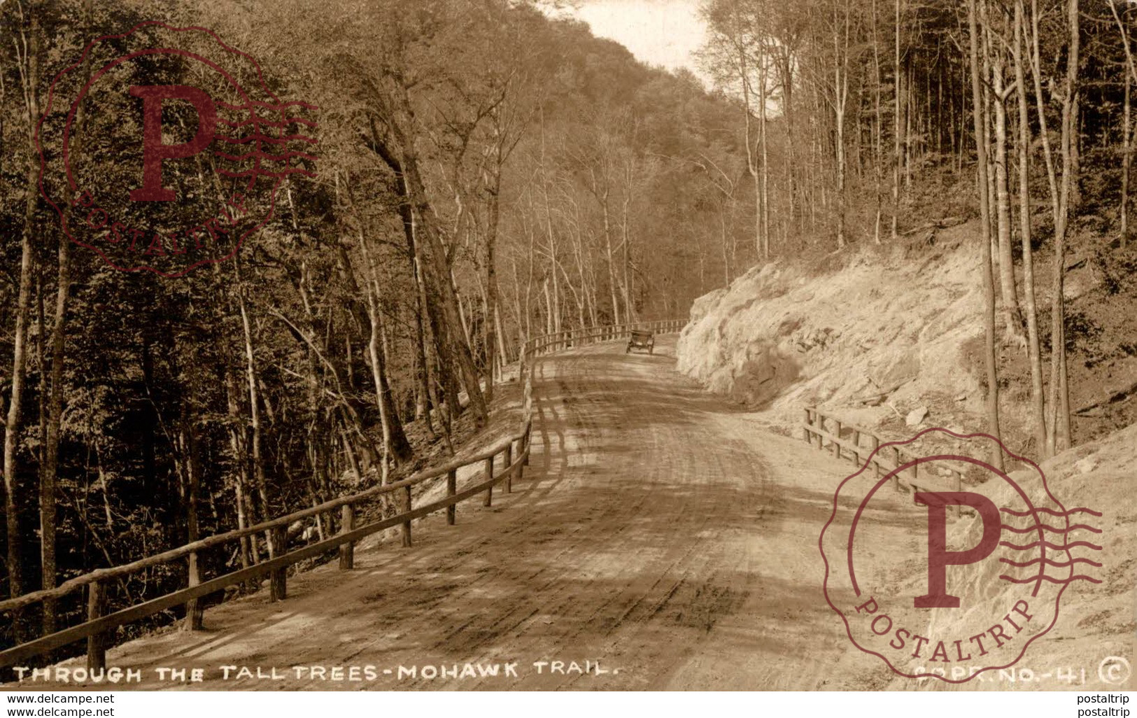 EEUU // USA. THROUGH THE TALL TREES MOHAWK TRAIL. - REAL PHOTO - American Roadside