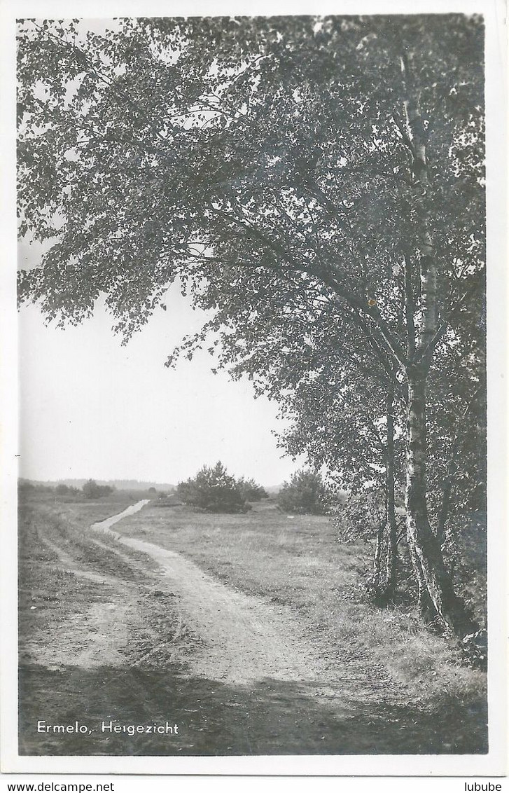 Ermelo - 3 Landschaftskarten        Ca. 1930 - Ermelo