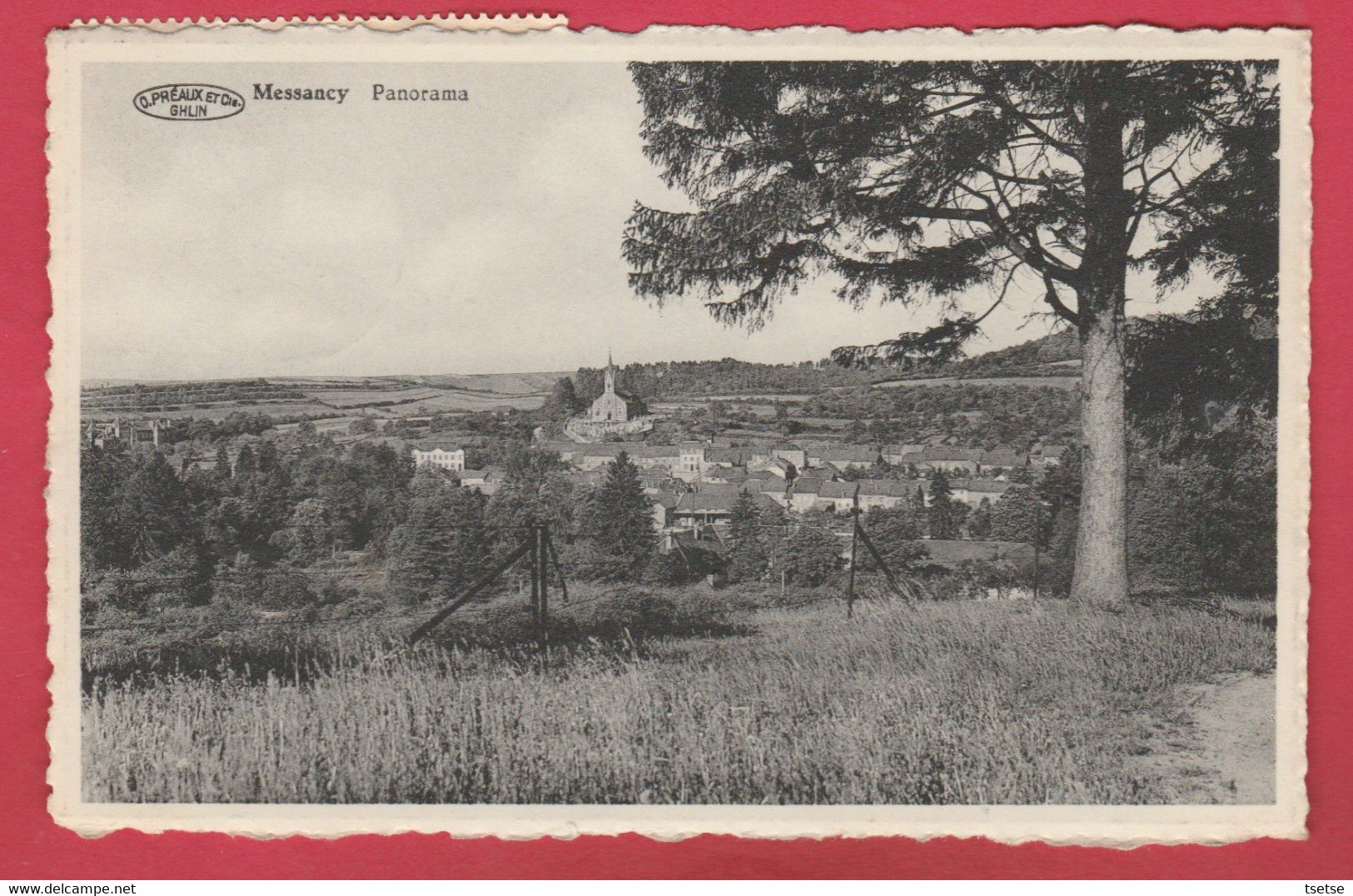 Messancy - Panorama ... De La Localité - 1965 ( Voir Verso ) - Messancy