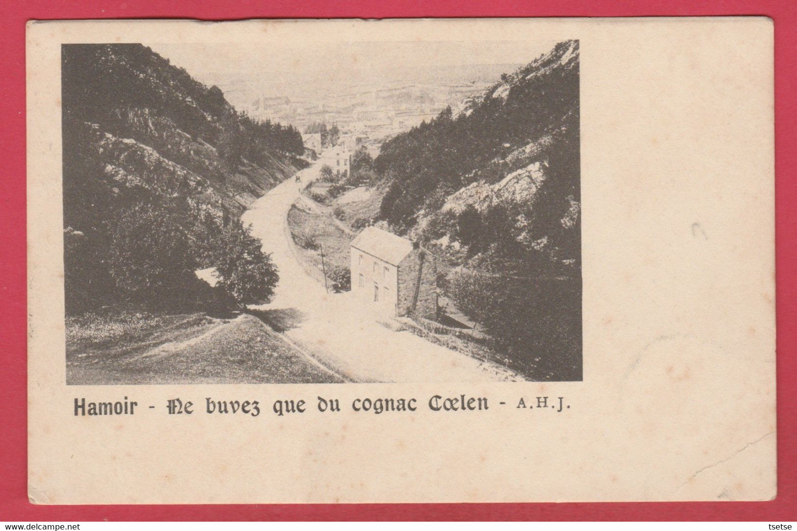 Hamoir ... Aucune Dénomination - 1 / Pub : " Buvez Du Cognac Coelen "  - 1903 ( Voir Verso ) - Hamoir