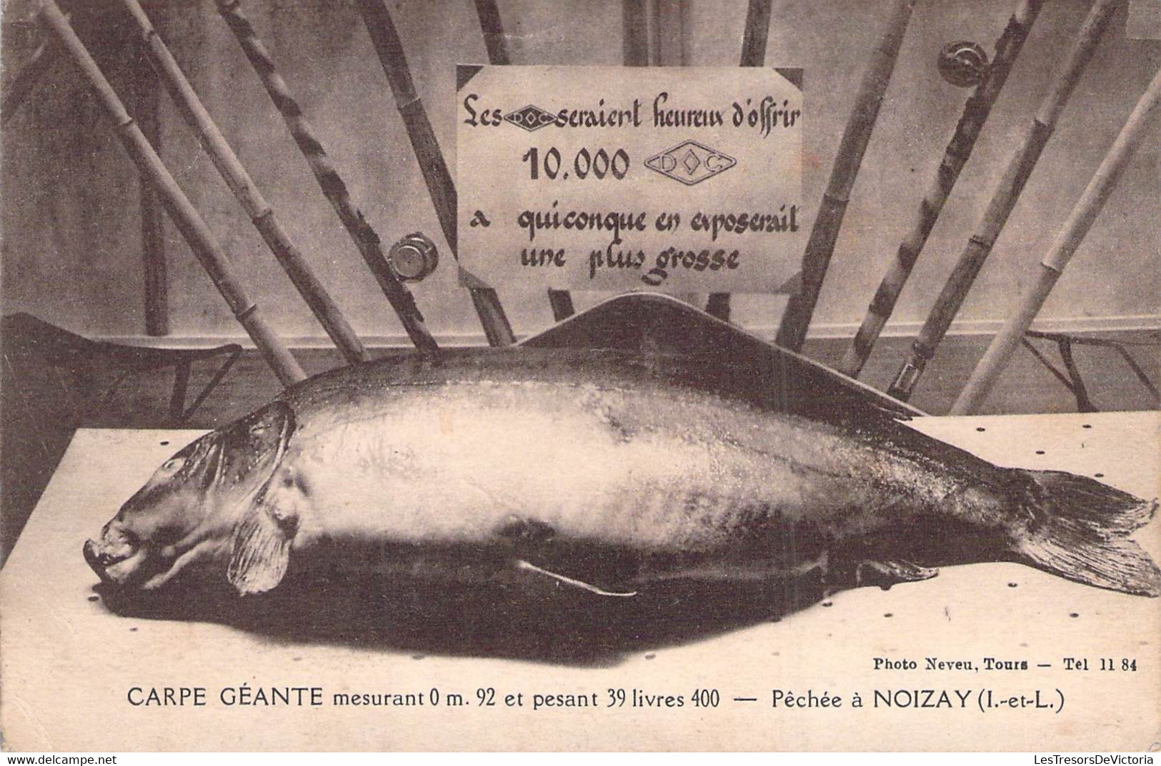 CPA Carpe Géante Péchée à Noizay - Récompense Et Concours De Pêche - Fishing