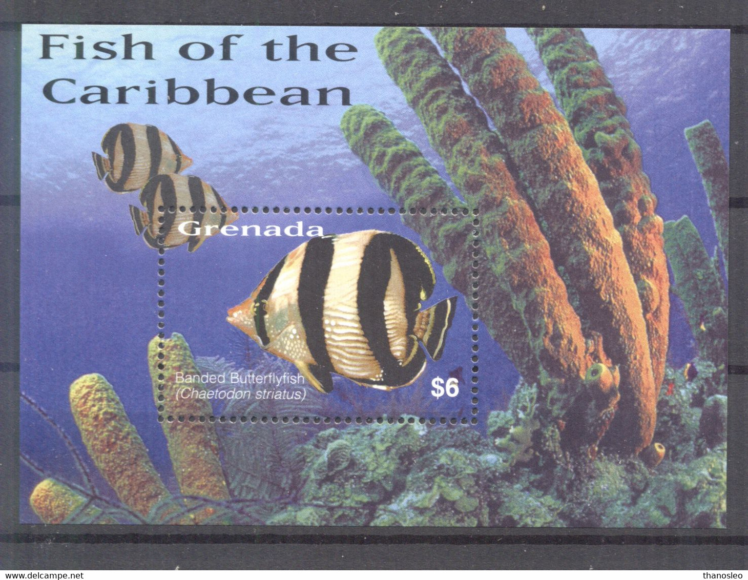 Grenada 2003 Fish Of Caribbean Block MNH VF - Grenada (1974-...)