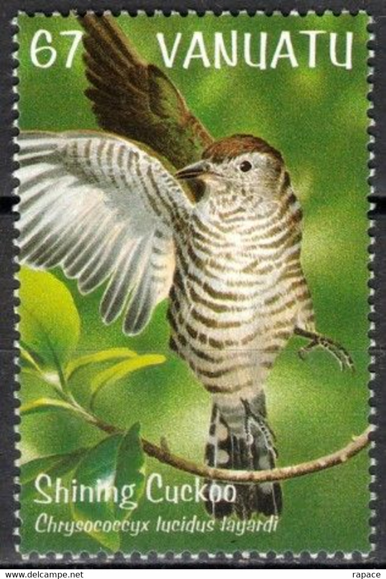 Vanuatu 1999 - Coucou éclatant (Chrysococcyx Lucidus) - Cuckoos & Turacos