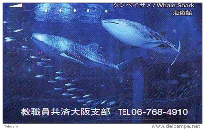 Télécarte Japon * REQUIN * HAIFISCH * SHARK * HAAI * VIS (208) BALEINE * WHALE * Phonecard Japan * FISH * TELEFONKARTE - Pesci