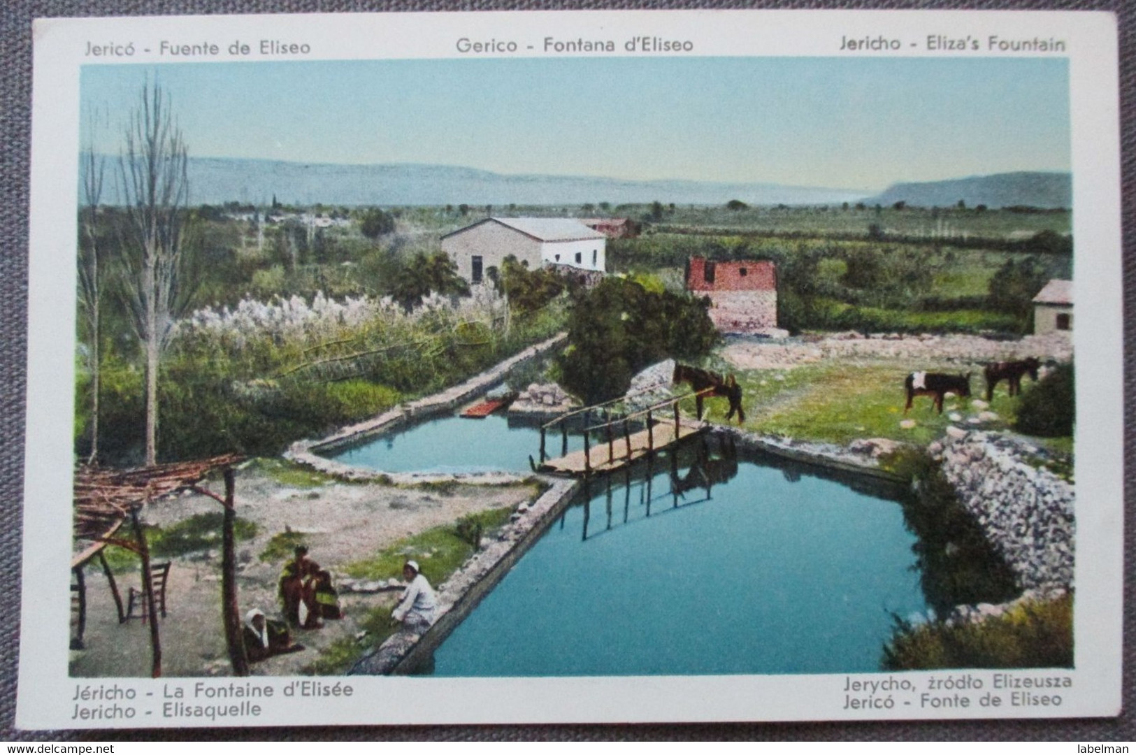 ISRAEL PALESTINE JORDAN VALLEY JERICHO ELISHA SPRING FONTAINE POSTCARD CARTOLINA  ANSICHTSKARTE CARD PC AK CARTE POSTALE - Israele