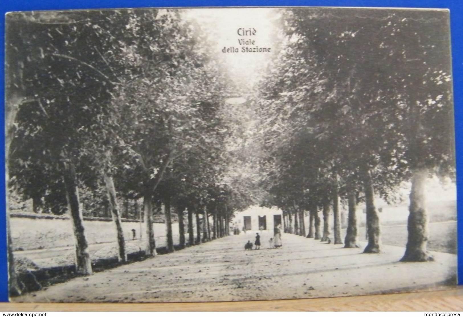 (C/) CIRIE'- ANIMATA - VIALE DELLA STAZIONE - VIAGGIATA 1911 - Museos