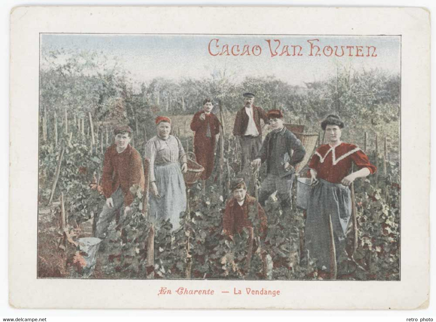 Chomo Cacao Van Houten - En Charente - La Vendange - Van Houten