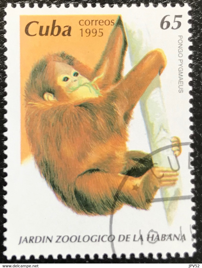 Cuba - C10/20 - (°)used - 1995 - Michel 3854 - Dierentuin Van Havana - Oblitérés