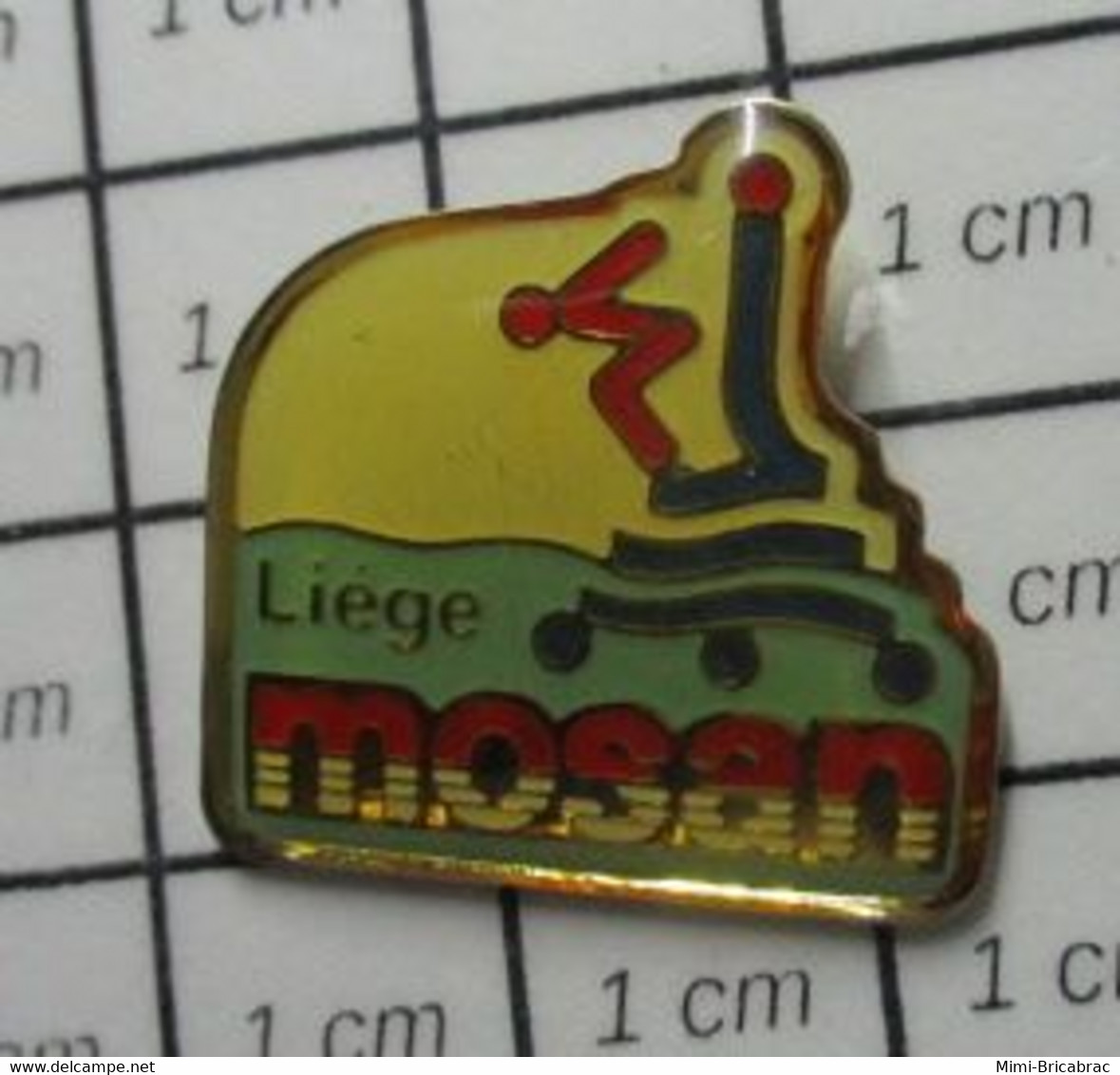 1316c Pin's Pins / Beau Et Rare / THEME : SPORTS / CLUB NATATION LIEGE MOSAN - Zwemmen