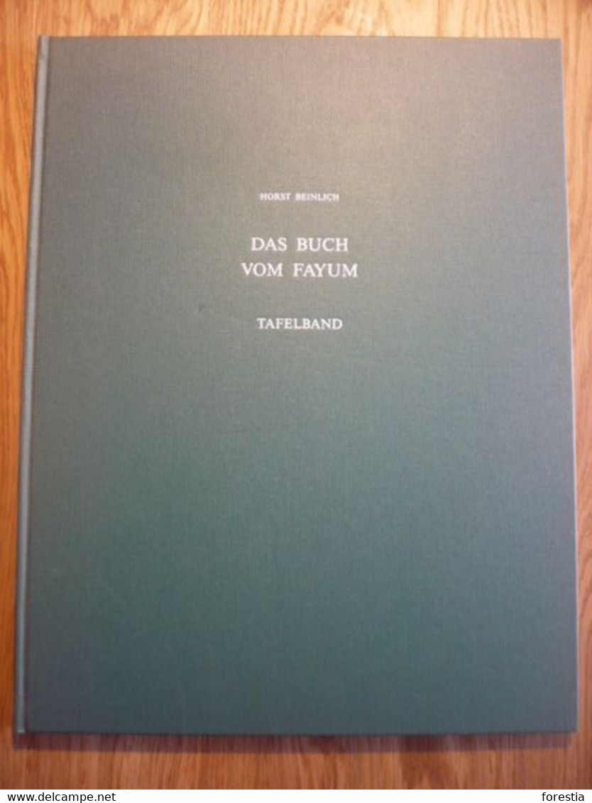 Das Buch Vom Fayum: Zum Religiosen Eigenverstandnis Einer Agyptischen Landschaft (Agyptologische Abhandlungen) - Archäologie