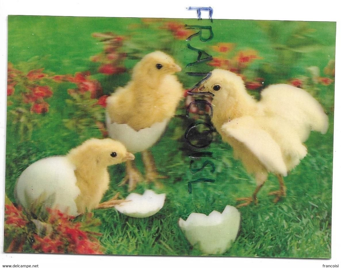 CPSM 3 D. Chicken / Poussins - Cartes Stéréoscopiques