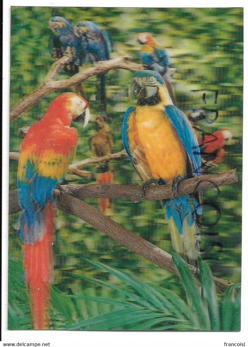 CPSM 3 D. Parrots / Perroquets - Cartes Stéréoscopiques