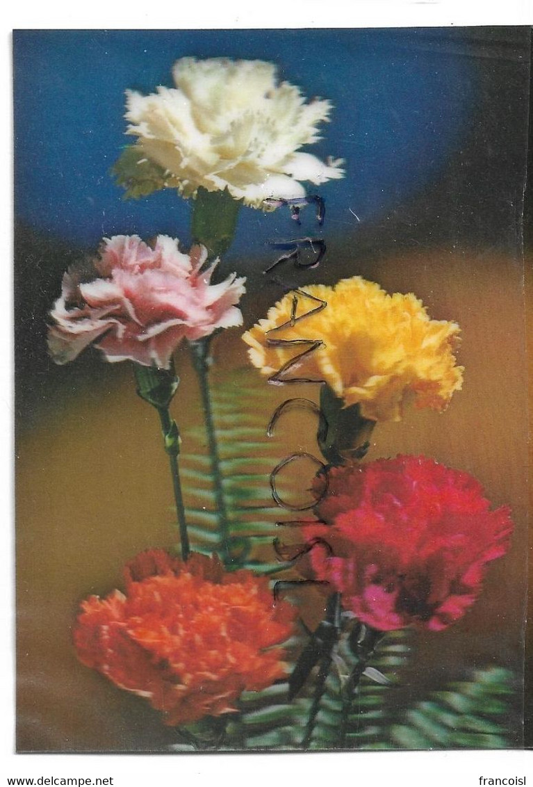 CPSM 3 D. Carnation / œillets - Cartes Stéréoscopiques