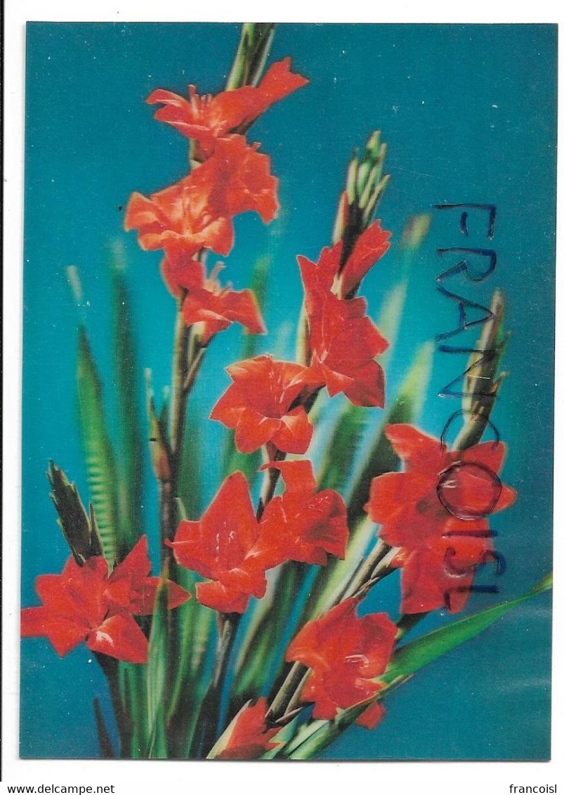 CPSM 3 D. Gladiolus / Glaïeuls - Cartes Stéréoscopiques