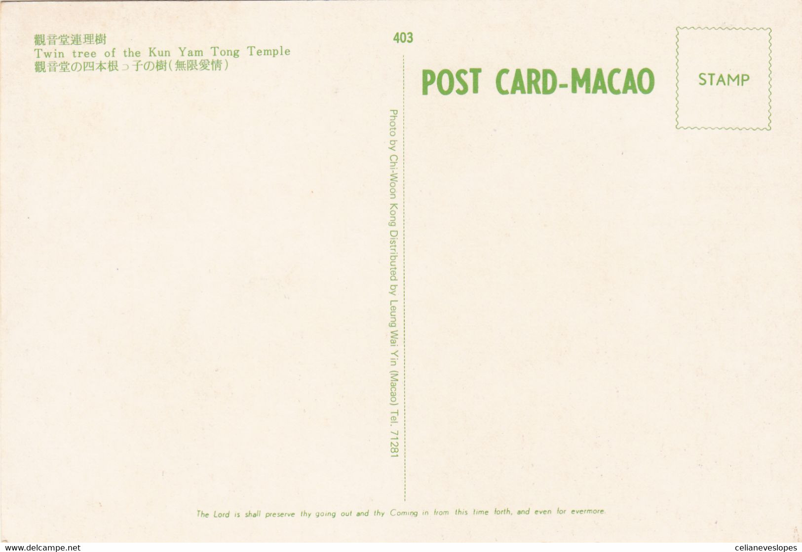 Macau, Macao, Maximum Cards, (84), Macau Visto Por...Lio Man Cheong 1995 - Cartes-maximum