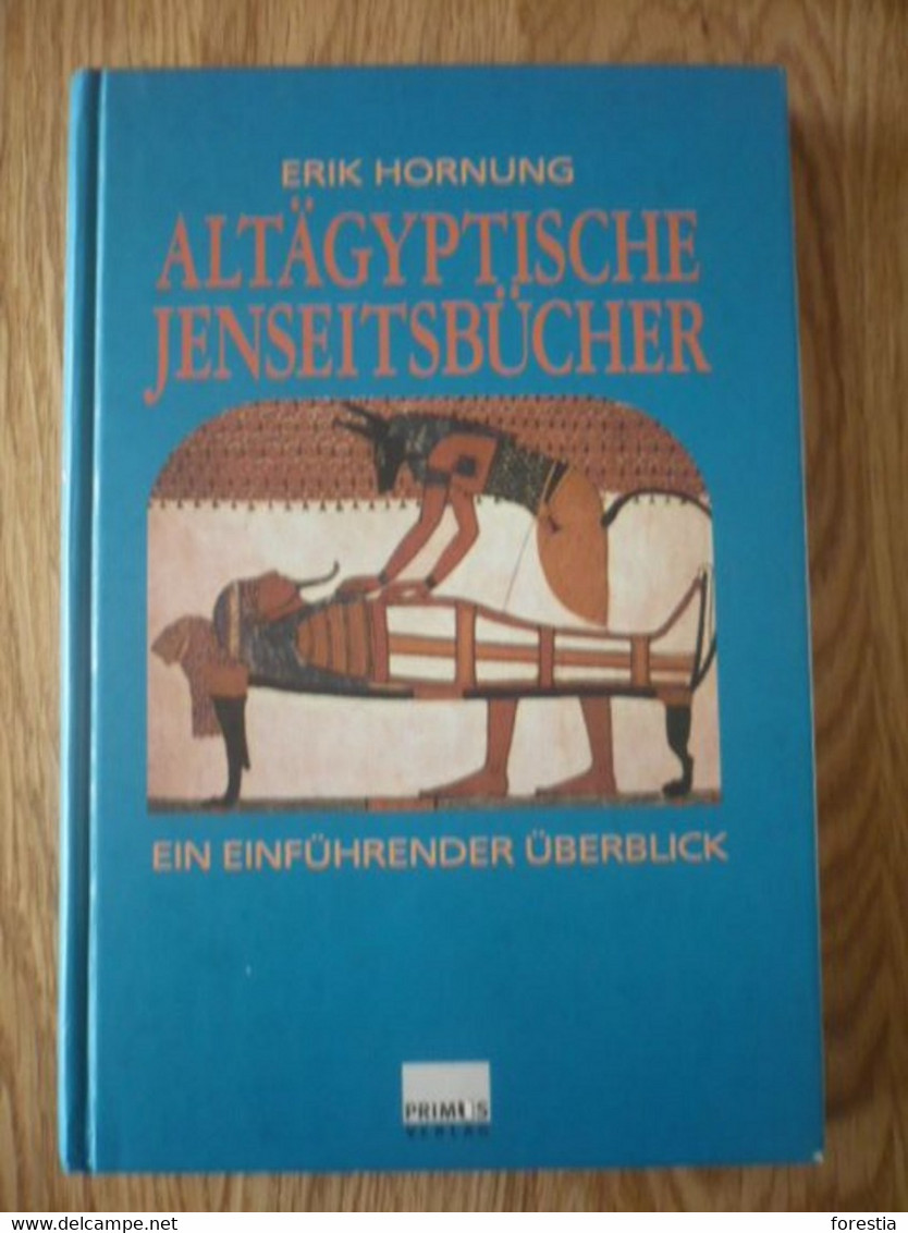 Altagyptische Jenseitsbucher Ein Einfuhrender Uberblick - Arqueología