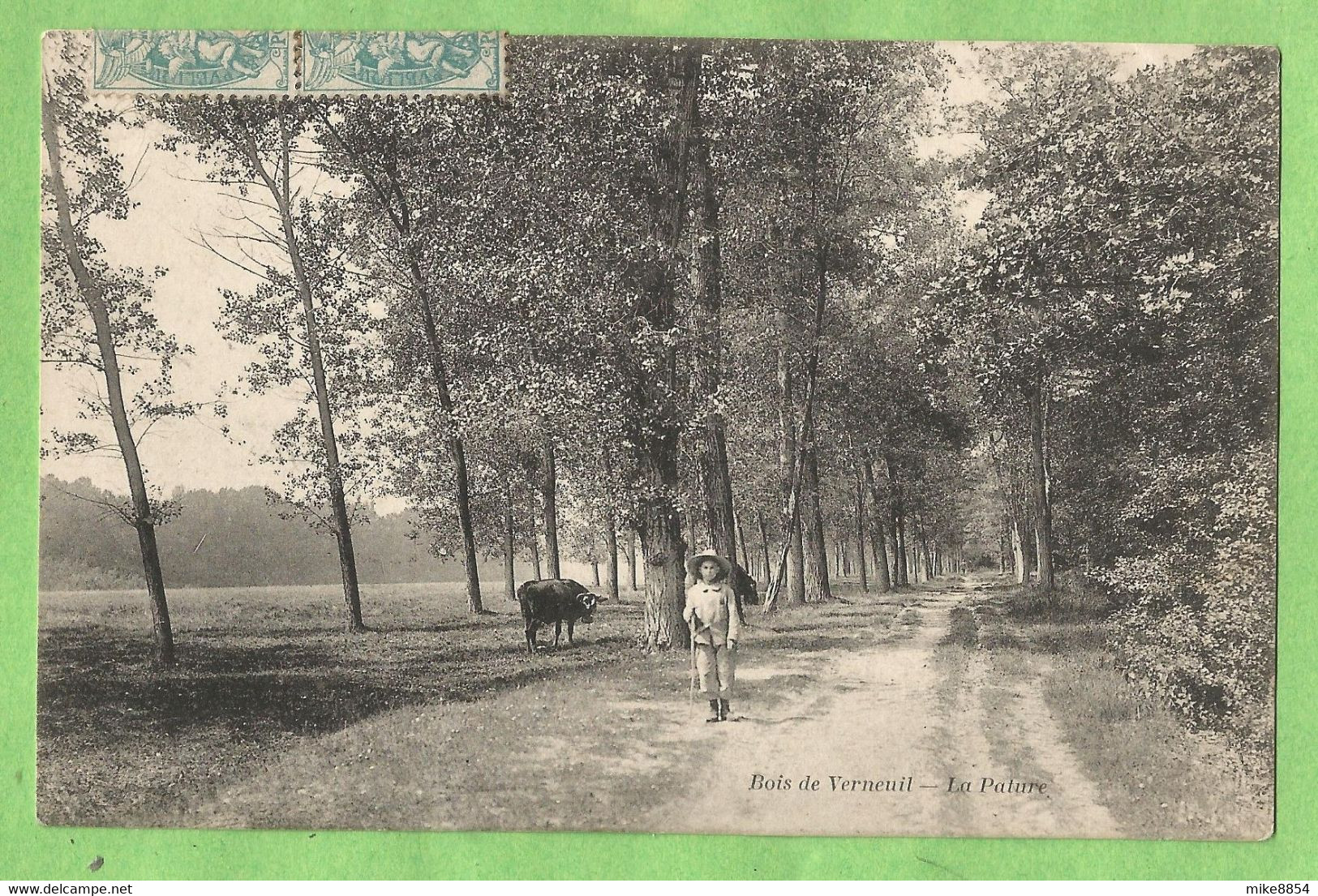 A185  CPA  VERNEUIL Sur SEINE    (Seine Et Oise)  Bois De Verneuil   -  La Pâture  -  Jeune Garçon  ++++++ - Verneuil Sur Seine