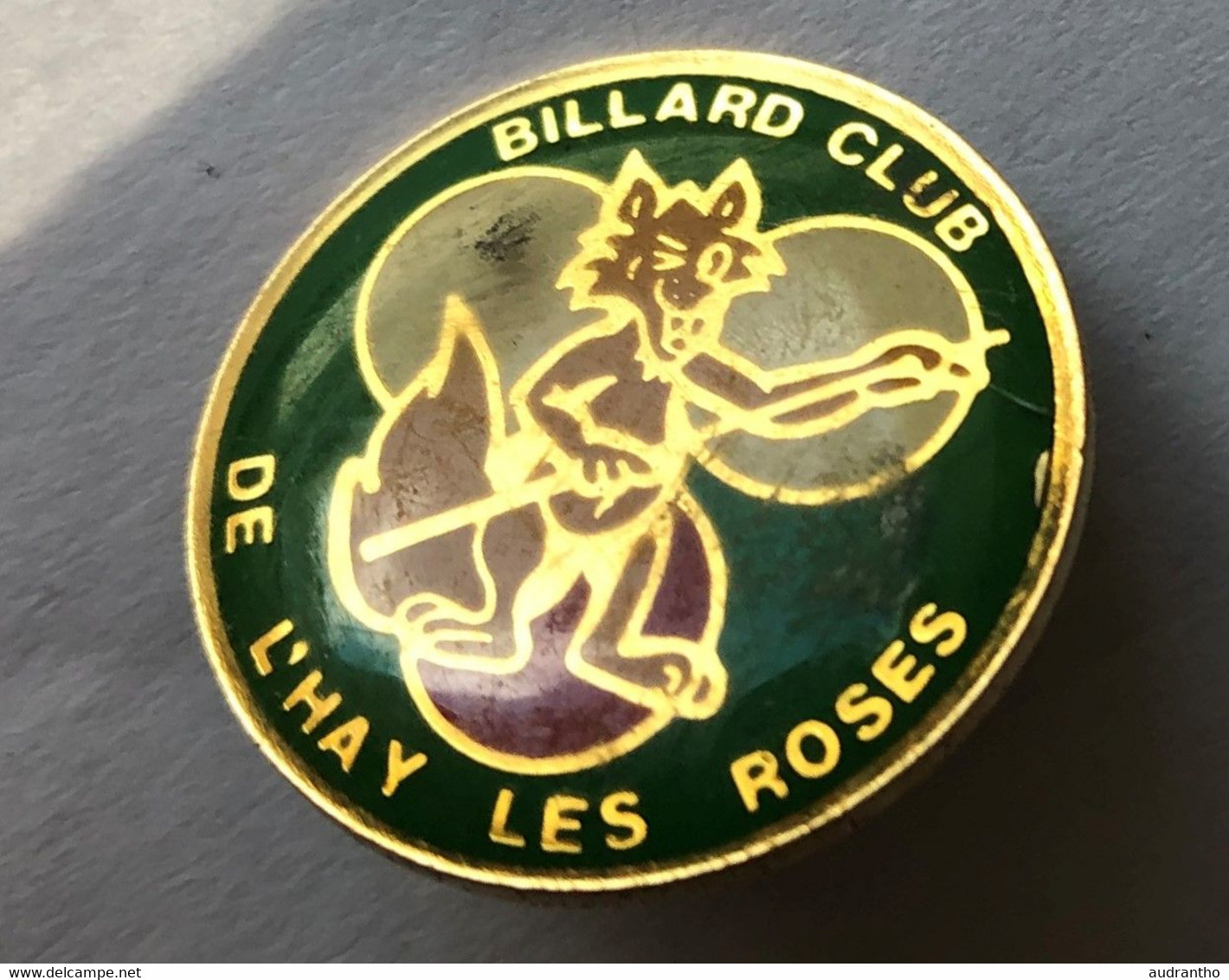 Pin's BILLARD Club De L'Hay Les Roses - Billard