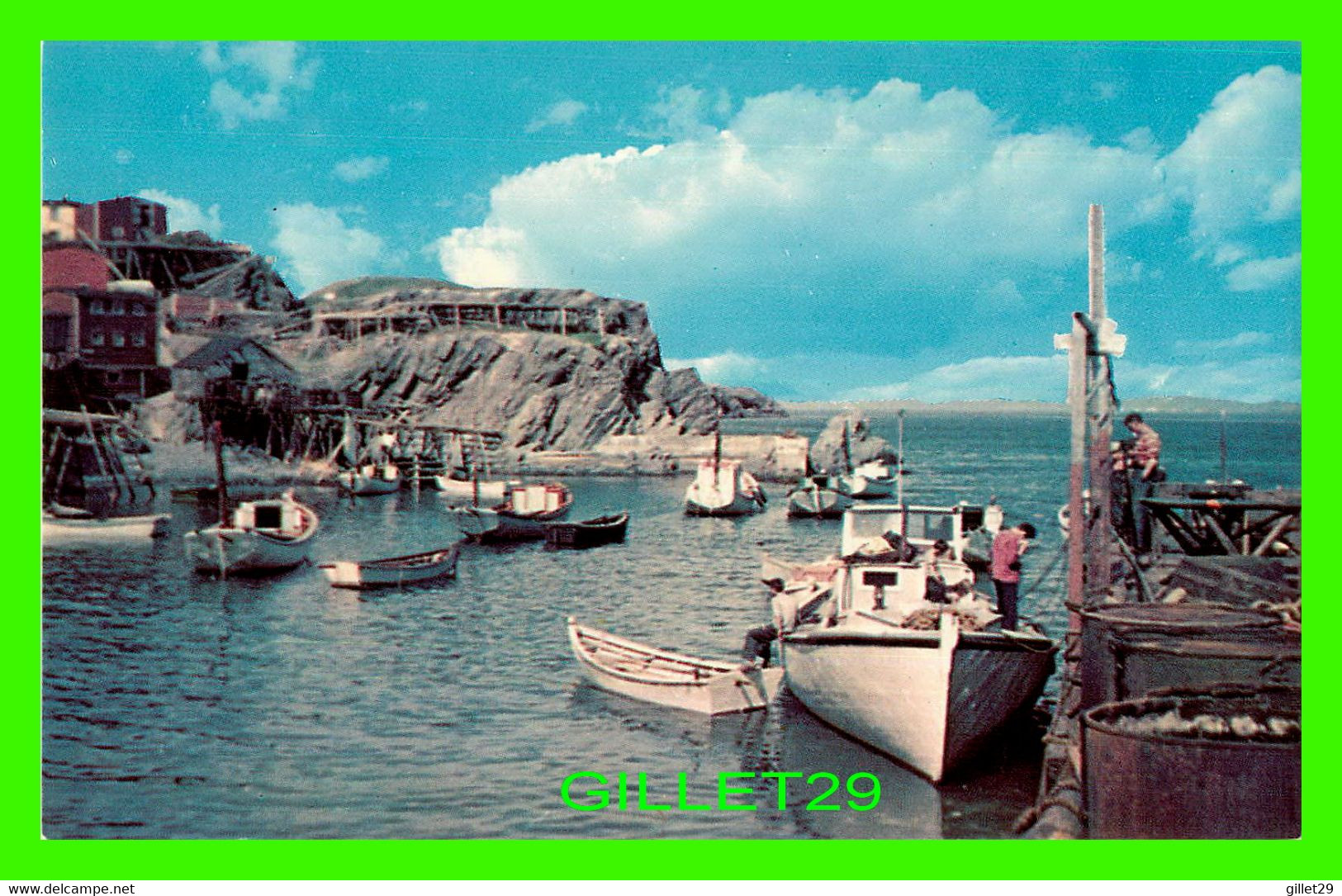 PORT DE GRAVE, NEWFOUNDLAND - FISHING SCENE - ATKINSON LTD - LUSTERCHROME - - Andere & Zonder Classificatie