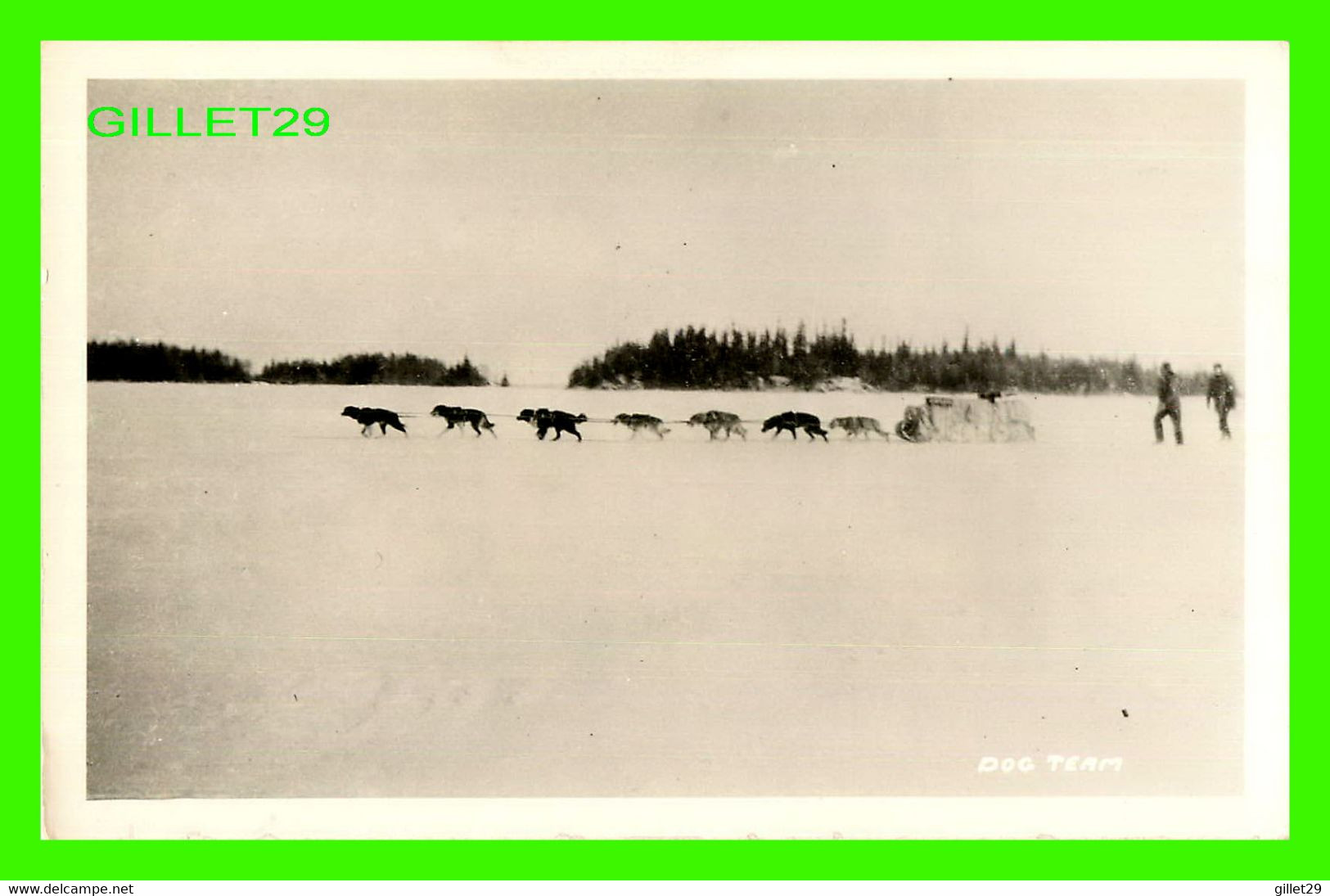 YUKON -DOG TEAM - CARTE PHOTO - - Yukon