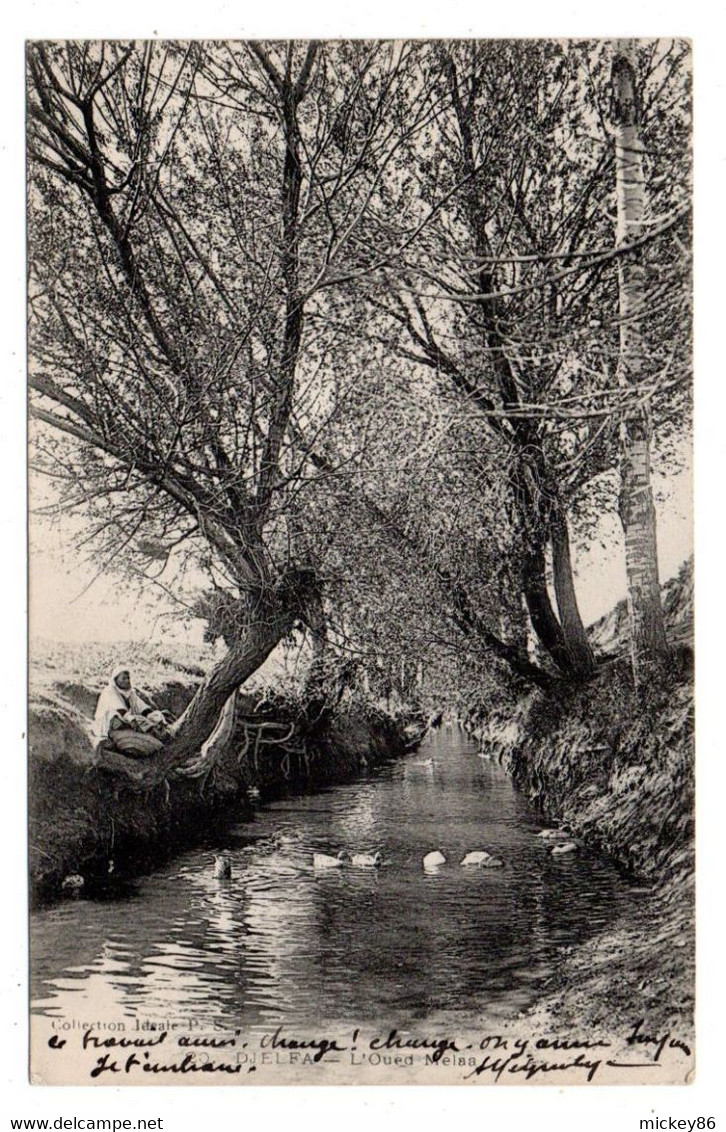 Algérie --DJELFA --1907--  L 'Oued-Mélaa   ( Petite Animation  ) .....à Saisir - Djelfa