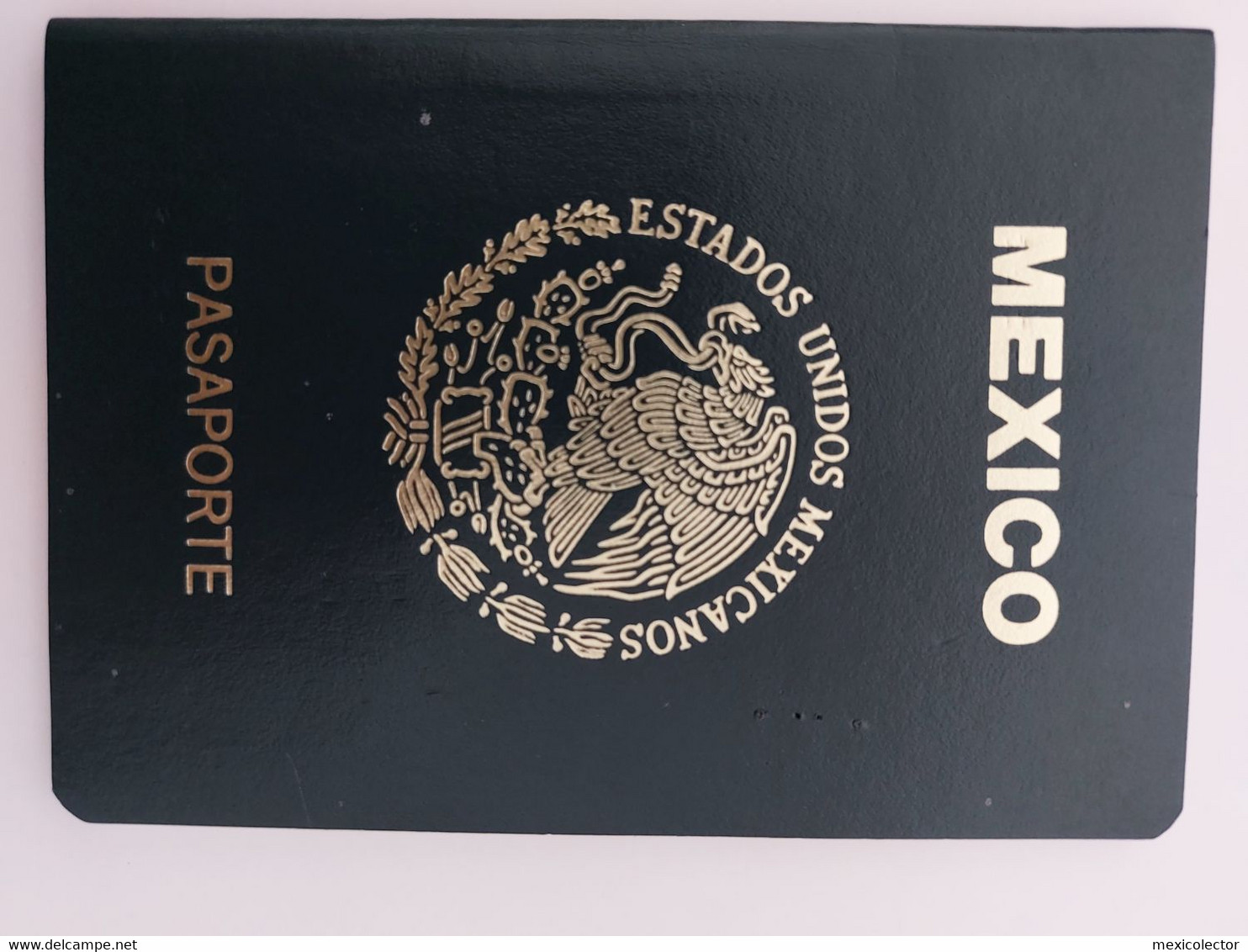 MEXICO - 1995 - PASSPORT - SEE SCANS - Documents Historiques