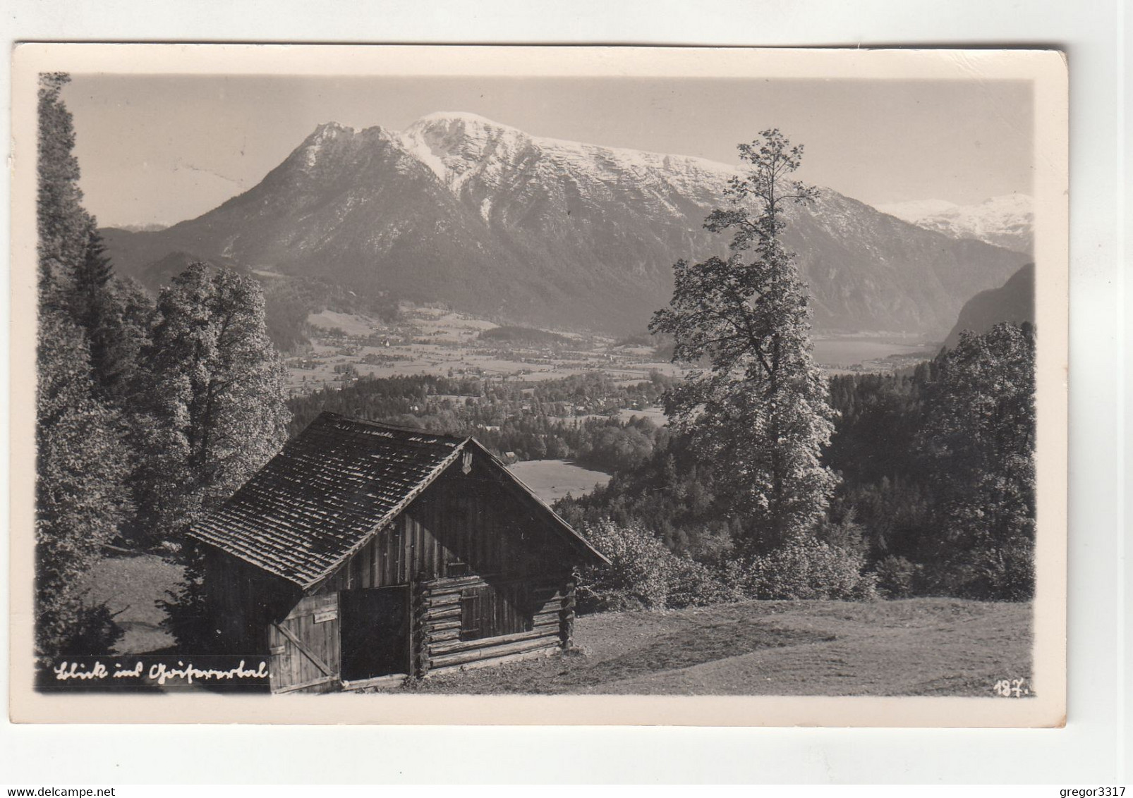 B3583) Blick Ins GOISERNTAL Mit Holzhütte Im Vordergrund ALT !! GOISERN - Bad Goisern