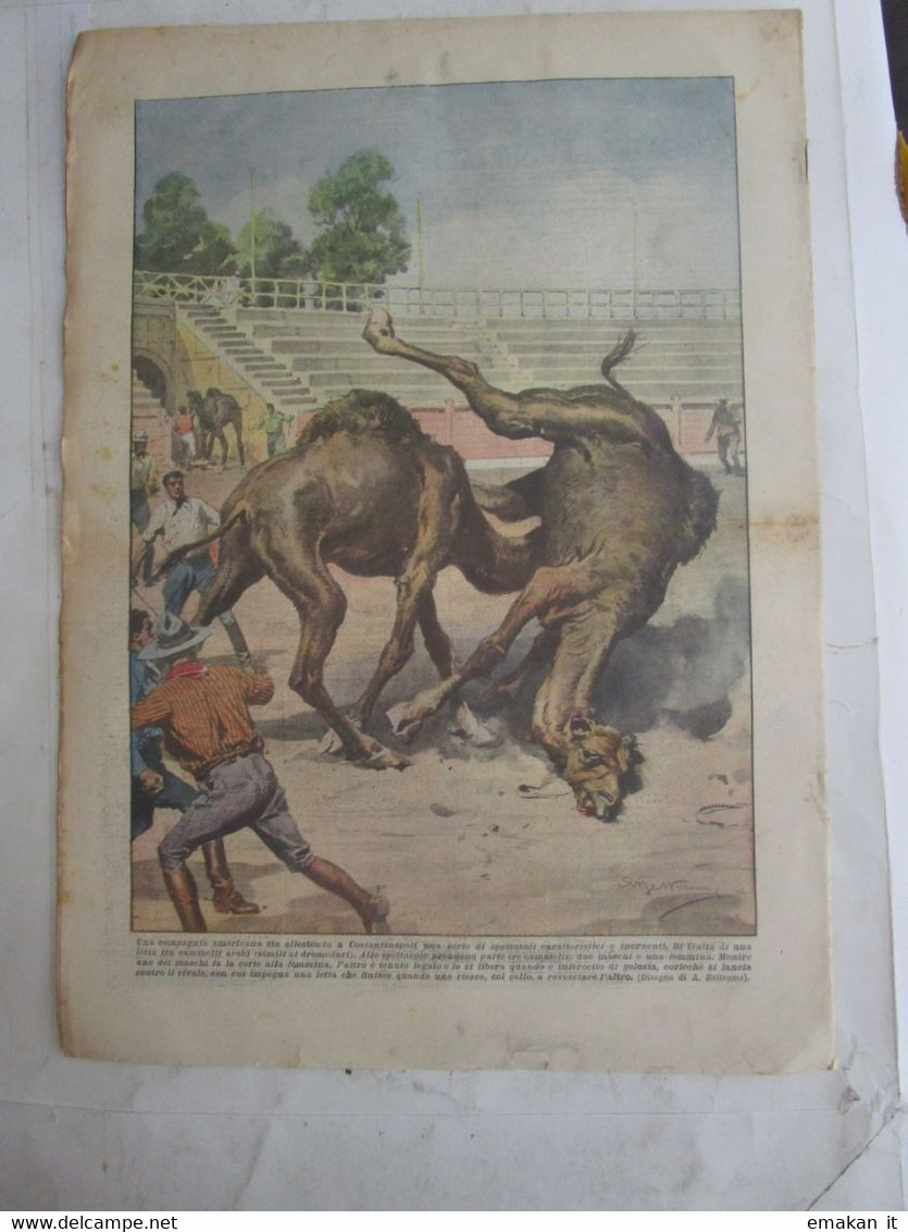 # DOMENICA DEL CORRIERE N 36/ 1929 BOSNIA ORSO AGGREDISCE DONNE / COSTANTINOPOLI / PALESTINA - First Editions