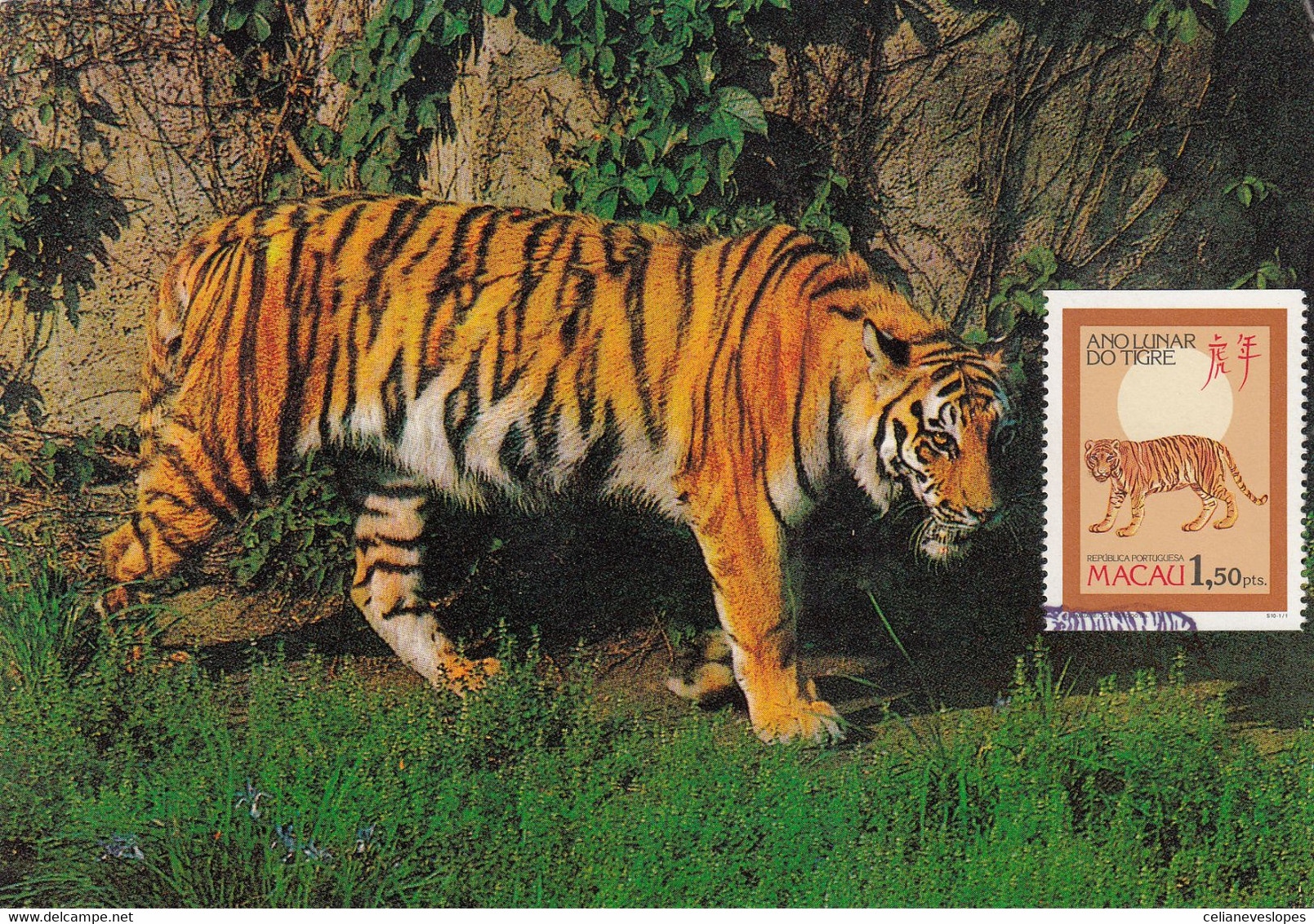 Macau, Macao, Maximum Cards, (161) Ano Lunar Do Tigre1986 - Maximum Cards